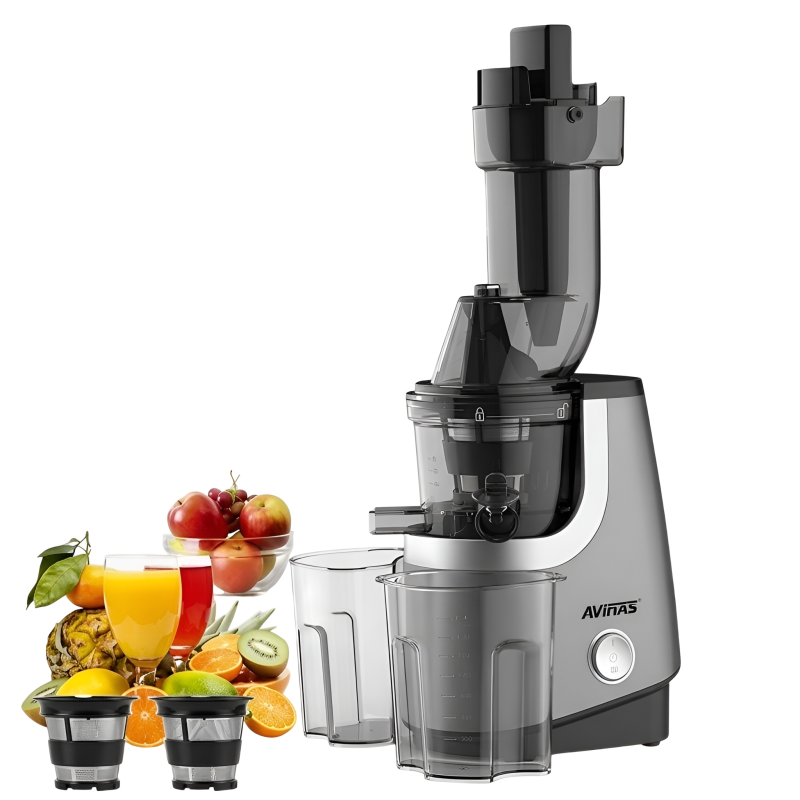 Professional Low Speed Slow Juicer 1000W